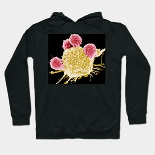 T lymphocytes and cancer cell, SEM (C001/1678) Hoodie